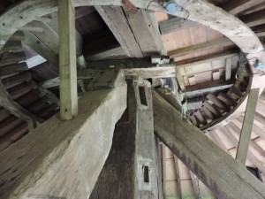 DSCN0381
